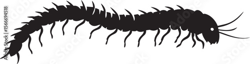 Centipede in Full Sprint Body elongated, legs moving swiftly in a straight line as it races forward. Full-length silhouette black vector design.