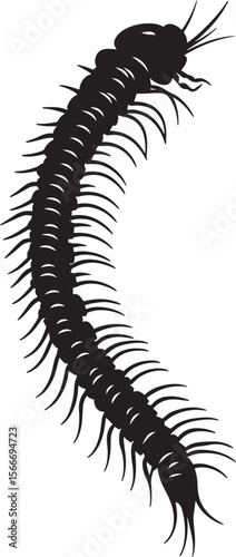Millipede Climbing Body positioned upward with legs gripping a vertical surface, moving slowly. full length silhouette black vector illustration