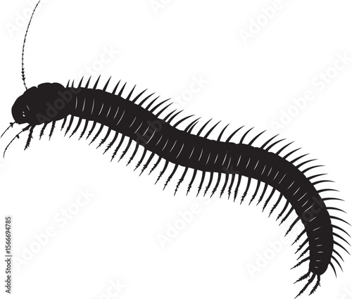 Millipede Moving in a Straight Line Body extended with legs moving alternately, creating a wave-like motion. full length silhouette black vector illustration