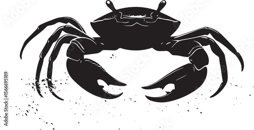 Crab Digging Front legs and claws working in the sand, body low with legs extended for digging. full length silhouette black vector illustration