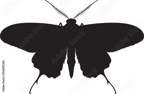 Moth at Rest with Wings Extended Wings slightly open, body resting on a surface with legs folded underneath. Full-length silhouette black vector design.