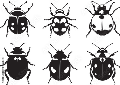Ladybug in Defensive Stance Body arched with wings partially open and legs spread wide, ready to defend itself. Full-length silhouette black vector design.