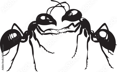 Ant Communicating Body still with antennae touching another ant as if transferring information. full length silhouette black vector illustration