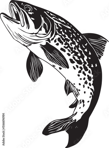 Trout Feeding Head lowered with mouth open, body angled toward the surface or the prey. full length silhouette black vector illustration
