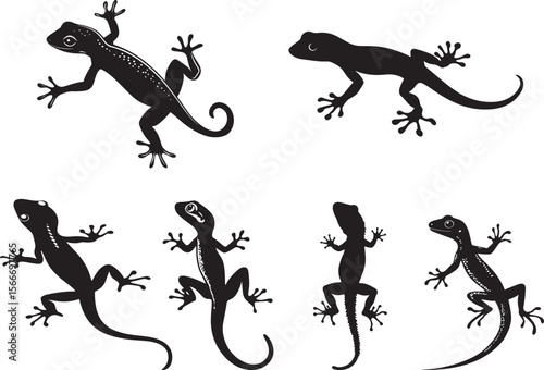 Gecko Hunting Body low to the ground head extended forward eyes focused on prey. full length silhouette black vector illustration