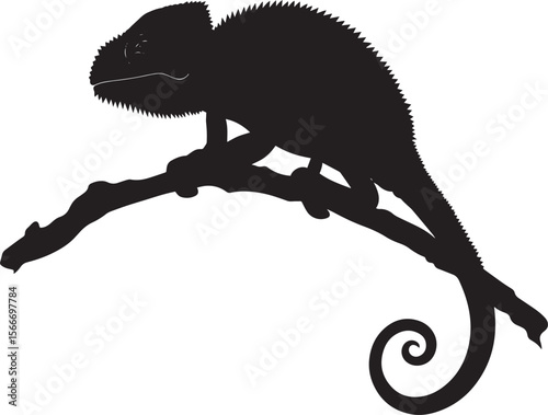 Chameleon Resting Body still tail curled limbs tucked under body sitting on a branch. full length silhouette black vector illustration