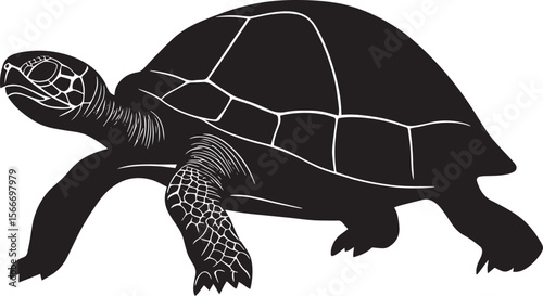 Turtle making its way slowly moving on land, legs splayed, and shell raised in a complete silhouette illustration.