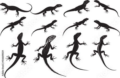 Lizard Defending Tail held high, body slightly arched, and head raised to look alert. full length silhouette black vector illustration