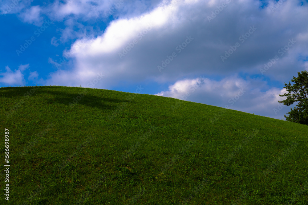 Obraz premium green field and blue sky