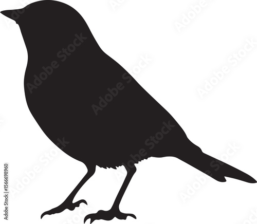 Robin strutting moving forward with little steps, head gently bobbing, and wings tucked against its sides in a black vector outline.