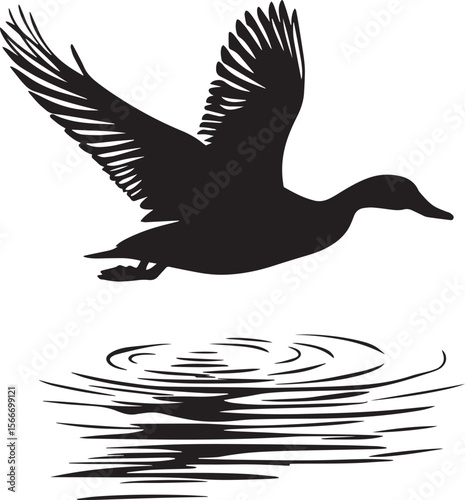 Duck Landing Wings extended feet stretched forward body lowering onto water. full length silhouette black vector illustration