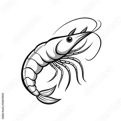 black and white line art shrimp isolated on white background