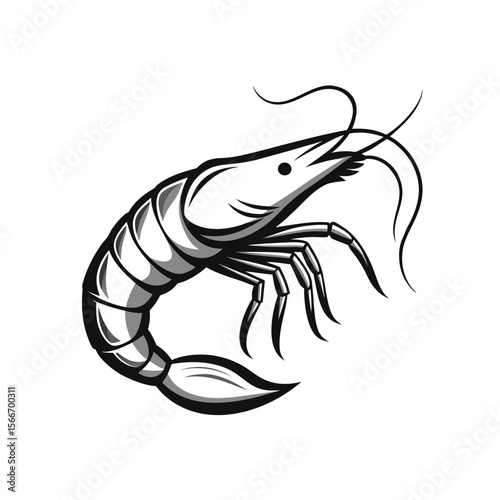shrimp vector illustration with monochrome style on white background
