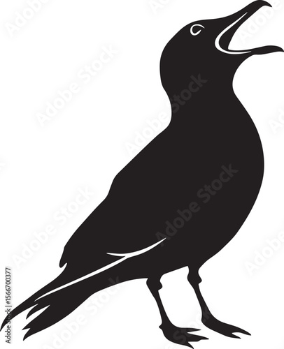 Seagull Crying Beak wide open, head tilted back, loud call, black silhouette vector.