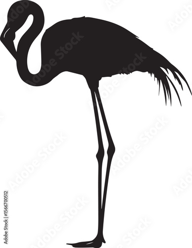 Flamingo Grooming Using beak to clean or arrange feathers while standing. full length silhouette black vector illustration