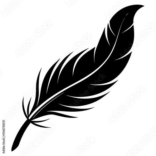 feather on  silhouette white background