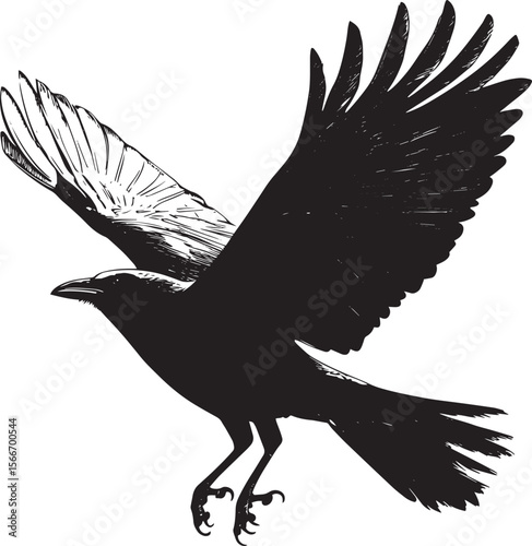 Crow Flying Low Low to the ground with wings partially spread and legs tucked. full length silhouette black vector illustration