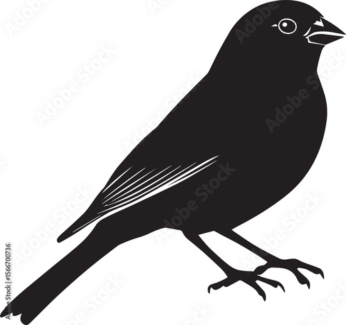 Sparrow Calling Body upright, head forward, wings gently spread, black silhouette vector.