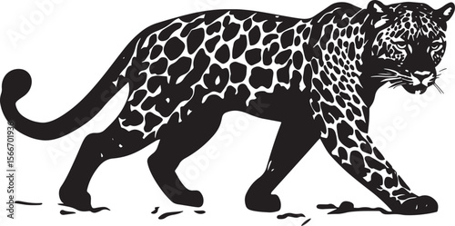 Leopard Stalking Low crouch, body tense, eyes fixed, tail still, black silhouette vector.