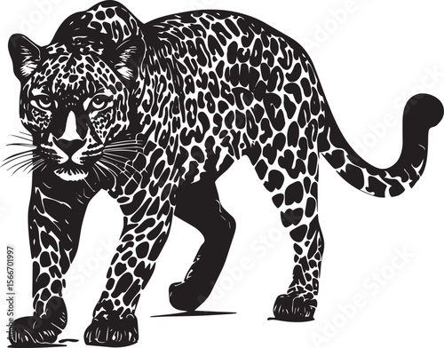 Leopard in Stealth Crouched low, body tense, eyes focused, tail motionless, silhouette vector.