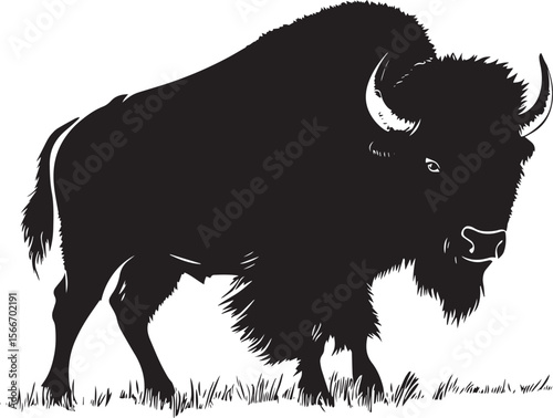 Bison Shaking Body tense, head moving side to side, shaking off dust or water. full length silhouette black vector illustration