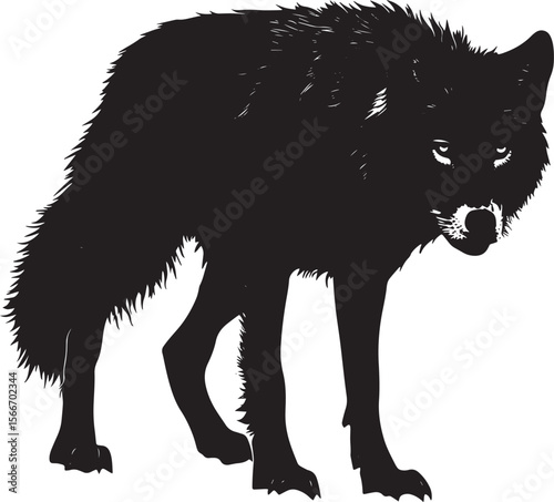 Wolf Stalking Low body, tense posture, tail stiff and still, black silhouette vector.