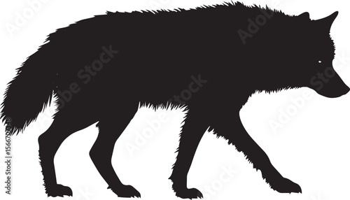 Wolf Stalking Low to the ground, body tense, tail stiff and still. full length silhouette black vector illustration