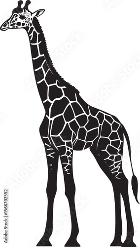 Giraffe Standing Tall and upright, neck fully extended, legs straight. full length silhouette black vector illustration