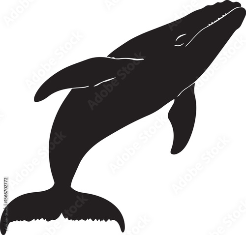 Whale Communicating Mouth open, air blowing, body mid-water, black silhouette vector.