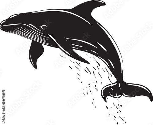 Whale Leaping Front of body arched, flippers spread out, silhouette illustration.
