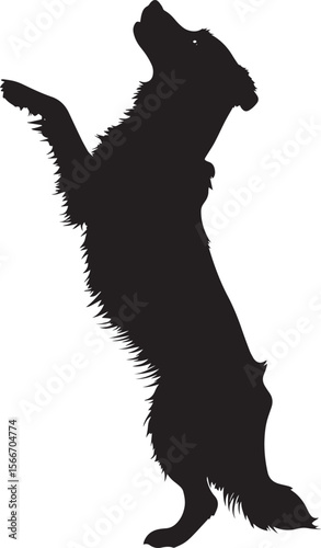 Standing on Hind Legs Silhouette A dog balancing with front paws raised. full length silhouette black vector illustration