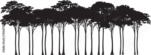 Simple Tree Line Design A clean black silhouette representing a line of rainforest trees, highlighting their tall and slender shapes.