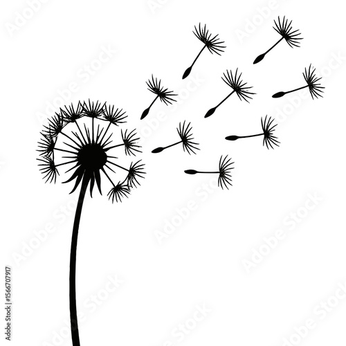 Silhouette Blowing Dandelion Flower Head with Flying Seeds Botanical Illustration