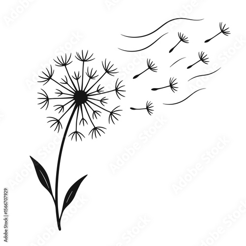 Black and White Handdrawn Blowing Dandelion Flower with Seeds Illustration