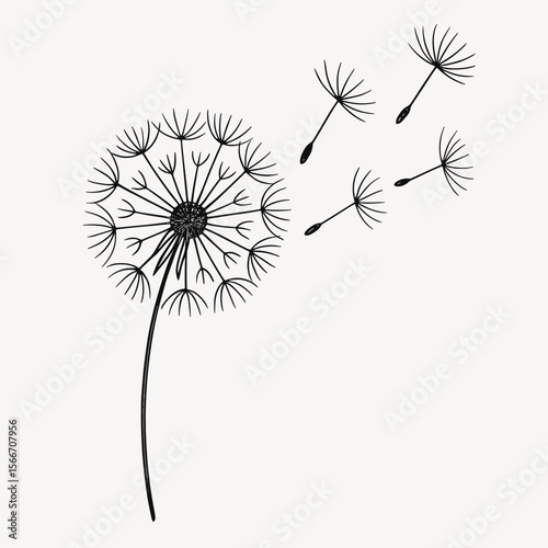 Sketchy Handdrawn Dandelion with Flying Seeds Botanical Illustration