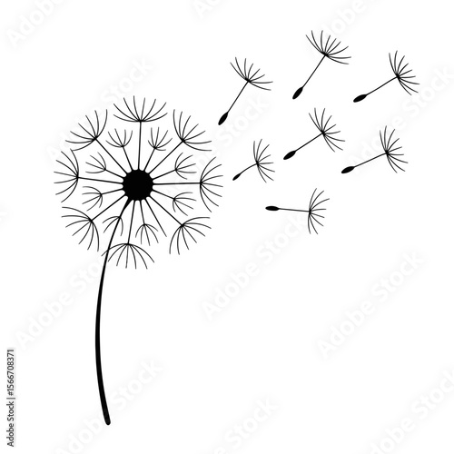 Black and White Handdrawn Dandelion Seed Head with Flying Seeds Illustration