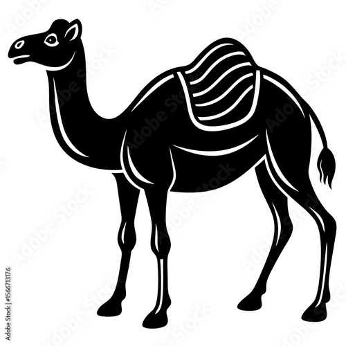 camel vector illustration