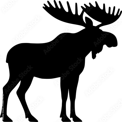 Majestic Moose Silhouette: A striking black silhouette of a massive moose against a pristine backdrop, showcasing its impressive antlers and powerful build.