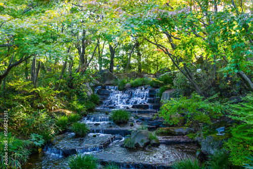 stream in the forest
