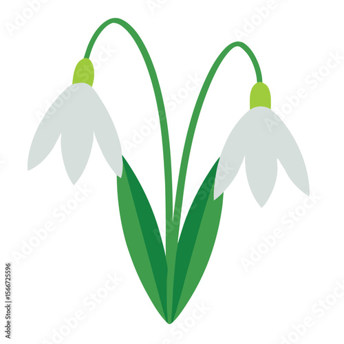 Delicate white snowdrop flowers with soft green stems a beautiful floral design perfect for spring and nature themes
