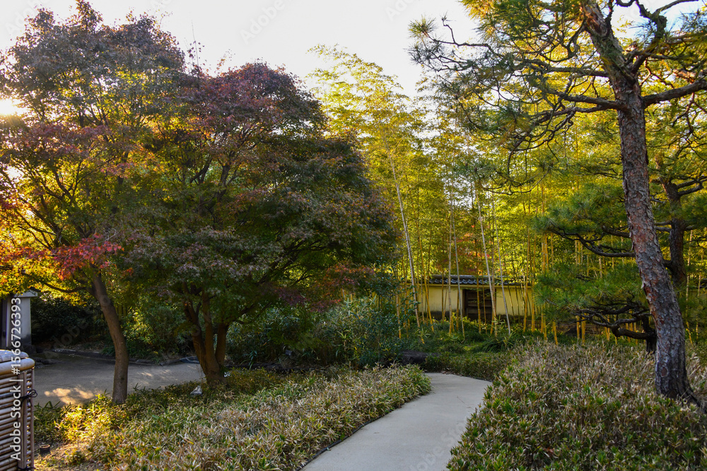 Naklejka premium autumn in the park