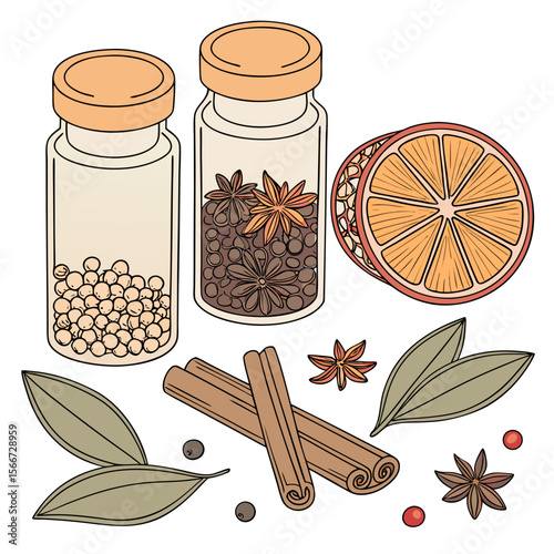 Assorted Aromatic Spices & Dried Orange - Colorful Vector Illustration

