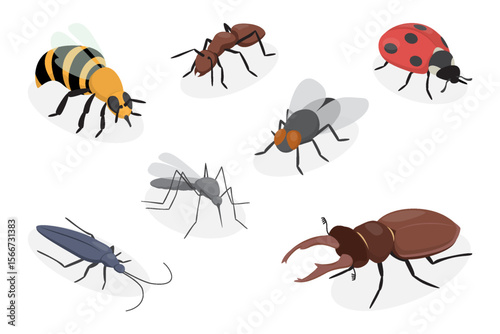 Set of insects. Bee, ant, ladybug, mosquito, longhorn beetle, fly insect, stag beetle. Flat vector poster on white background.