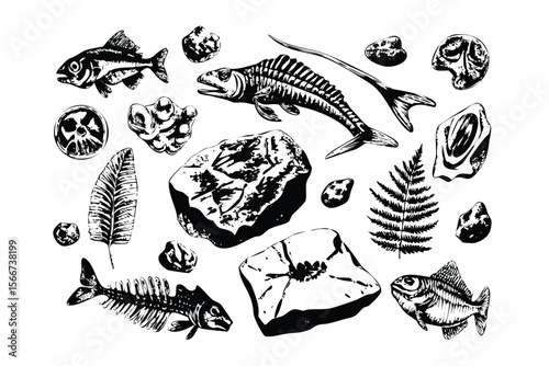 Fossils Vector Engraving Set. Detailed Monochrome Paleontology Illustrations. Vintage Stipple & Hatching Style Icons & Symbols