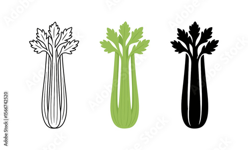 Celery trio: outline, color, and silhouette illustrations for healthy living concepts