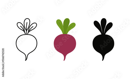 Radish evolution: outline, colorful, and silhouette designs on white background