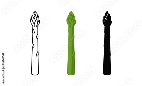 Minimalist asparagus trio: monochrome, colored, silhouette variations on white background