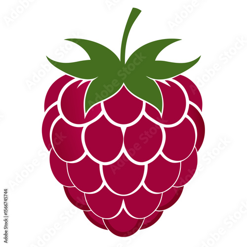 Raspberry isolated fruit silhouette
