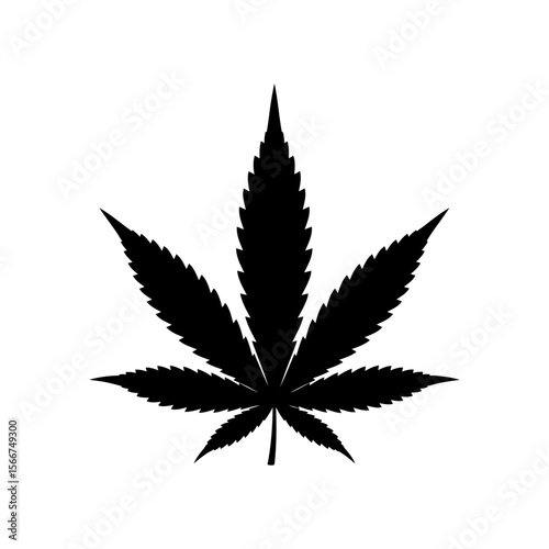 A single cannabis leaf is isolated on white background