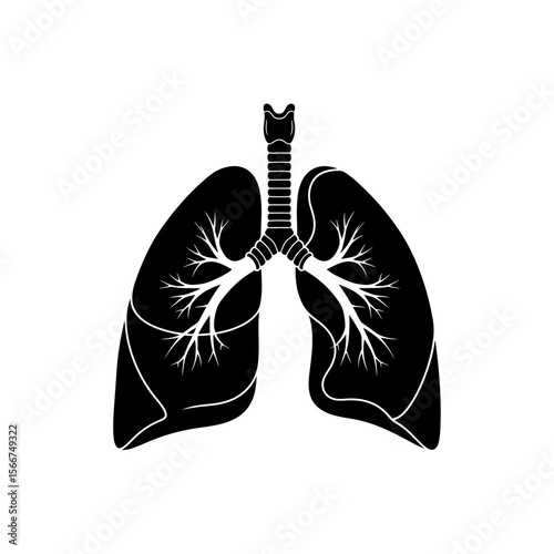 Black human lungs with bronchi isolated on white background